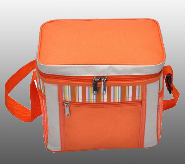 Cooler bags